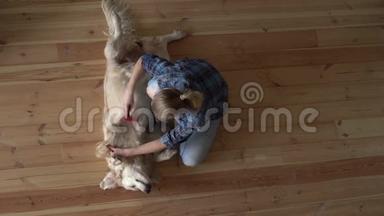 宠物护理。 女人正在家里梳一只大的<strong>金毛</strong>犬和一把金属梳梳。 顶部视图